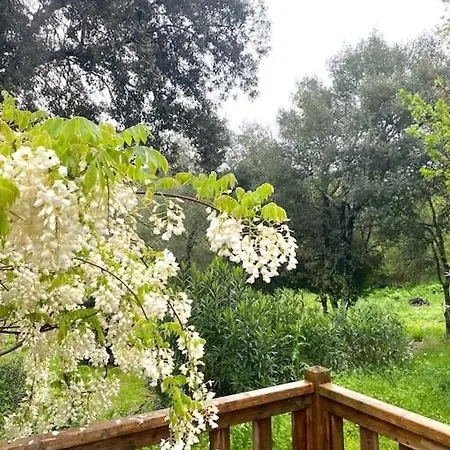 Hébergement de vacances Mobilhome à La Campagne *