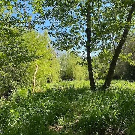 Prázdninový dům Mobilhome A La Campagne Porto-Vecchio (Corsica)