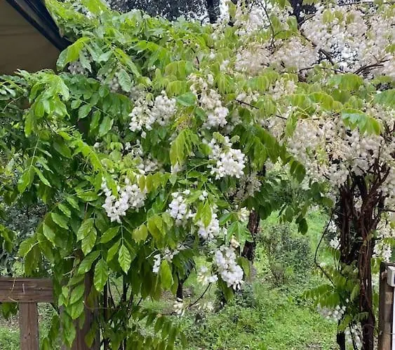 Mobilhome A La Campagne Porto-Vecchio (Corsica)